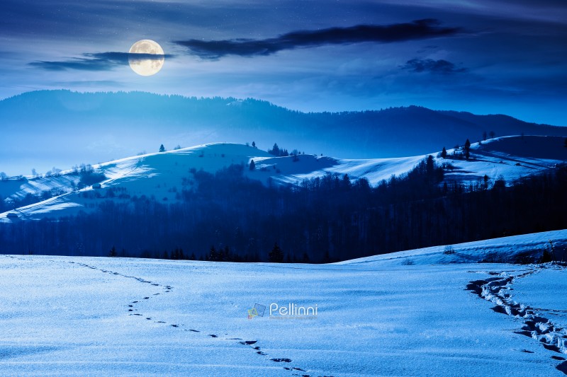 beautiful winter landscape with snow covered rolling hills under dark sky at night. majestic mountains in full moon light. frosty countryside scenery. backdrop for fiction art or mystery concepts