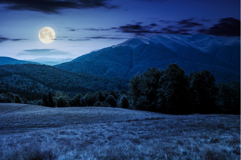 beech forest near Apetska mountain at night in full moon light. lovely summer landscape of Carpathian mountains