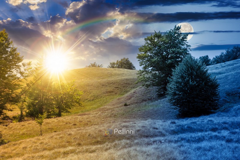 beech forest on the grassy hill. day and night time change concept. alpine scenery with trees in lush leaves. primeval woods under sky with sun and moon at twilight