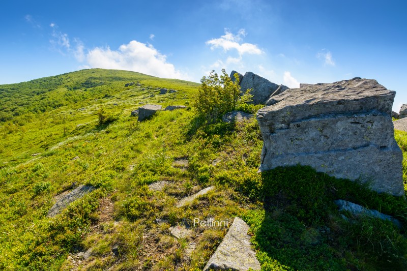 boulder on a hill under blue sky with clouds in summer. huge sandstone among the grass. path to the mountain top on a sunny morning