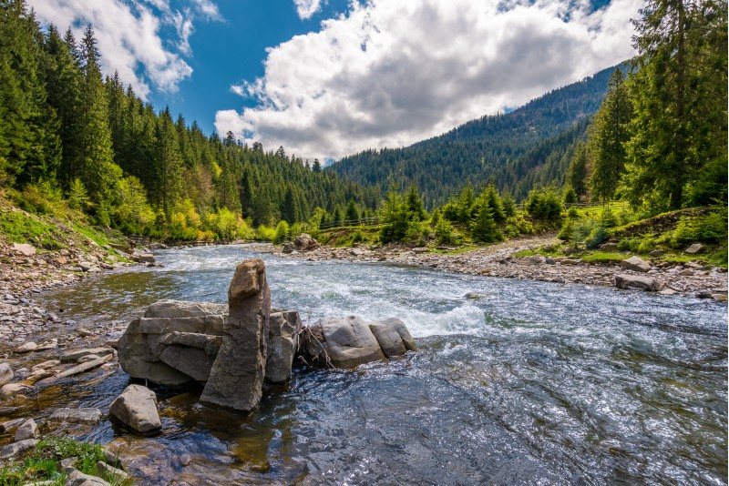 boulders on cascade of the forest river. beautiful landscape in mountains on a bright day. lovely time spent while travel Carpathians
