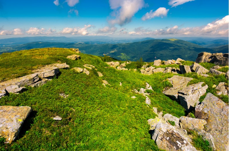 boulders on grassy hill in summer. lovely nature scenery under the cloudy sky in Carpathian mountains, Ukraine