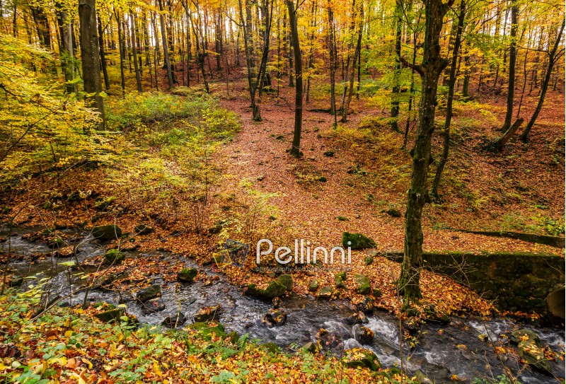 brook in autumn forest on hillside. beautiful nature scenery