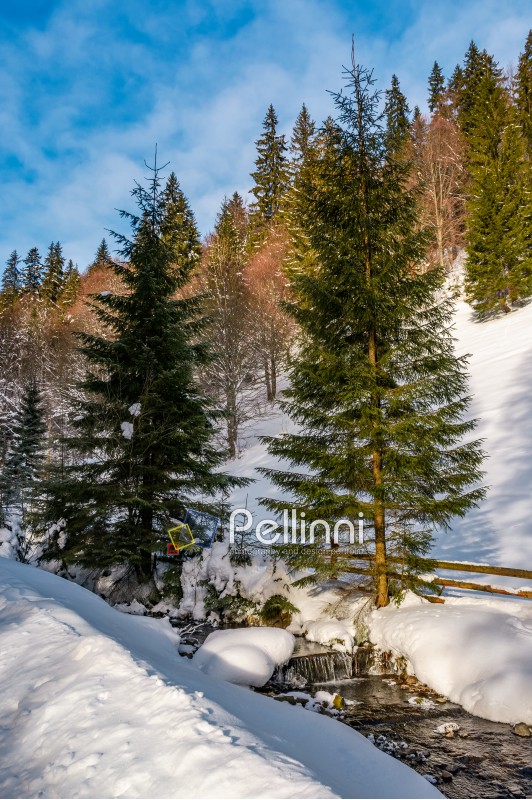 brook with cascade in winter spruce forest on a bright day. lovely nature scenery with lots of snow on hillsides 