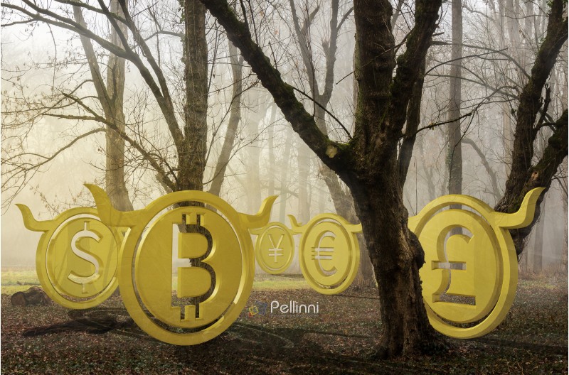bullish currency hide in foggy forest at sunrise. waiting for the perfect momentum and accumulating energy. halloween trading concepr. 3d illustration
