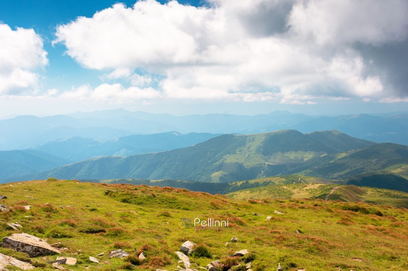 carpathian mountain landscape in august. scenic alpine terrain of ukraine in the afternoon. background image for hiking through chornohora ridge. popular travel destination