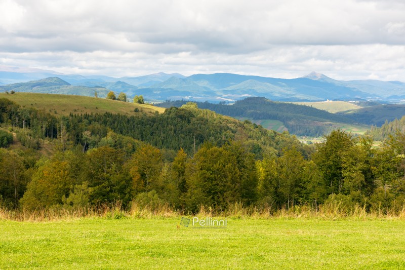 carpathian mountain landscape in dappled light. wonderful weather. nature in early autumn. deciduous forest on the grassy hill. watershed ridge in the distance. cloudy sky. ukraine travel destination