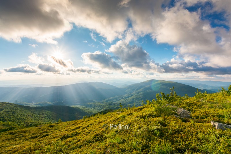 carpathian mountain landscape in evening light. panoramic view of ukraine highlands in summer. sunset sky with clouds