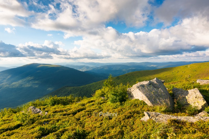 carpathian mountain landscape in evening light. rock on the grassy slope of mount smooth. sunset sky with clouds