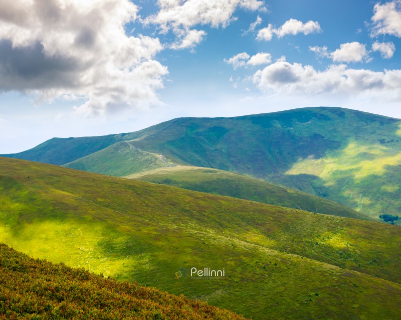 carpathian mountain landscape of ukraine in summer. beautiful travel background with rolling hills. lush green grassy hillside in dappled light. transcarpathia vacation season. narrow telephoto view