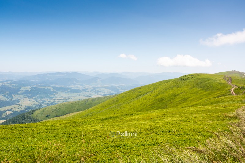 carpathian mountain landscape of ukraine in summer. transcarpathia weekend . wonderful nature scenery of alpine grassy meadow and green hills on a sunny day under blue sky. popular travel destination