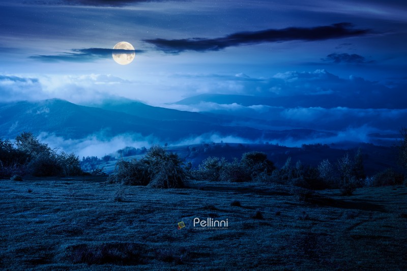 carpathian mountain landscape with fog at night. outdoor adventu carpathian mountain landscape with fog at night. outdoor adventure image for stunning view of meadow. full moon over mountain field and rolling countryside valley. dark sky for mysterious fantasy