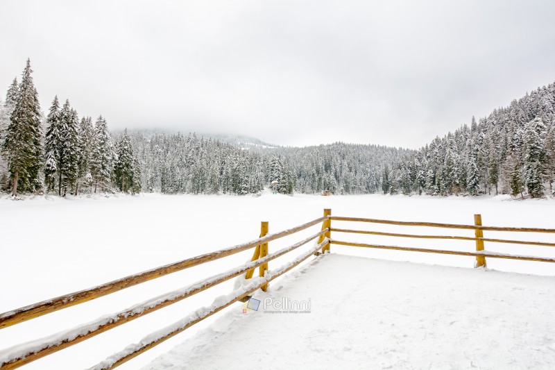 carpathian mountain winter landscape. cold season. snow covered carpathian mountain winter landscape. cold season. snow covered frozen lake. scenery in synevyr national park, ukraine. cloudy weather. travel destination background. beautiful nature