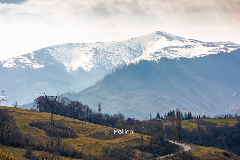 carpathian mountains of ukraine in early spring. morning view of countryside landscape with rolling hills, snow covered peak. green environment sustainability and protection. background for earth day
