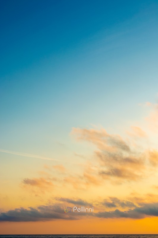 changing weather forecast. air pressure. scenic cloudscape. golden clouds on the blue morning sky over sea horizon. idyllic sunrise vertical background. fantastic golden hour wallpaper at the sea