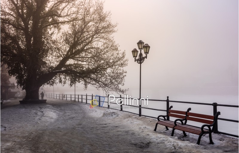city embankment in foggy winter morning. beautiful european cityscape  scenery with tree, lantern and wooden bench.