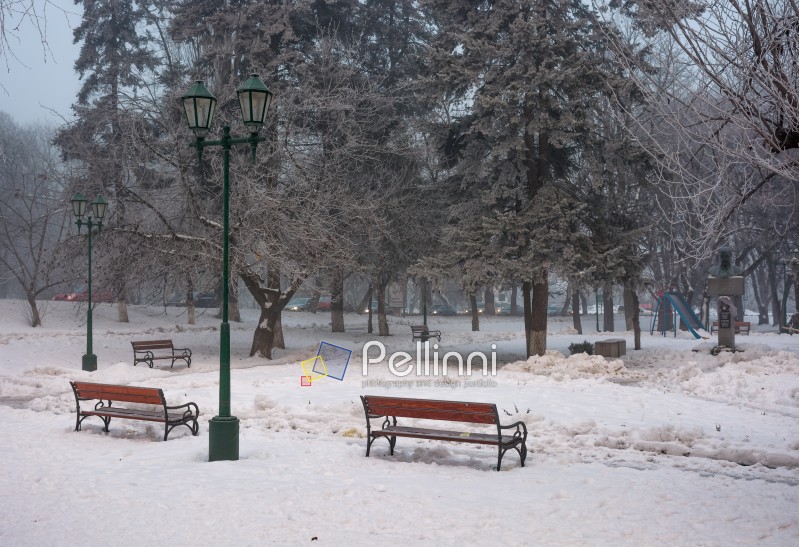city park with benches and lantern in hoarfrost. wonderful foggy winter morning