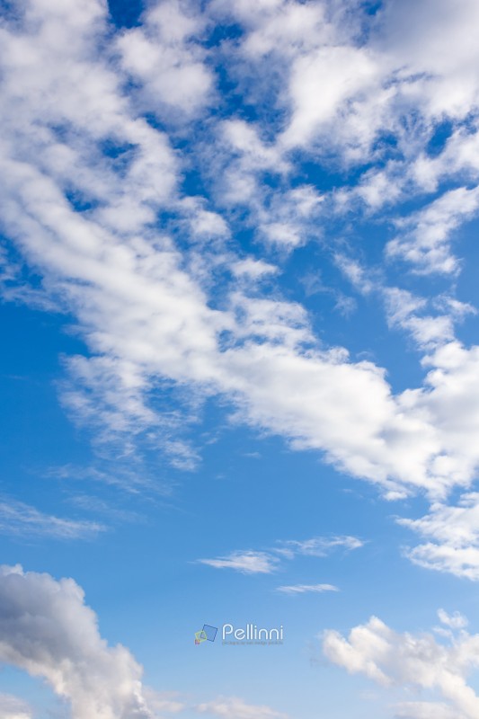 clear blue sky with white fluffy clouds. vertical nature backgro clear blue sky with white fluffy clouds. vertical nature background. soft cumulus cloudscape wallpaper on a bright day. fresh air due to reduced emission in summer atmosphere
