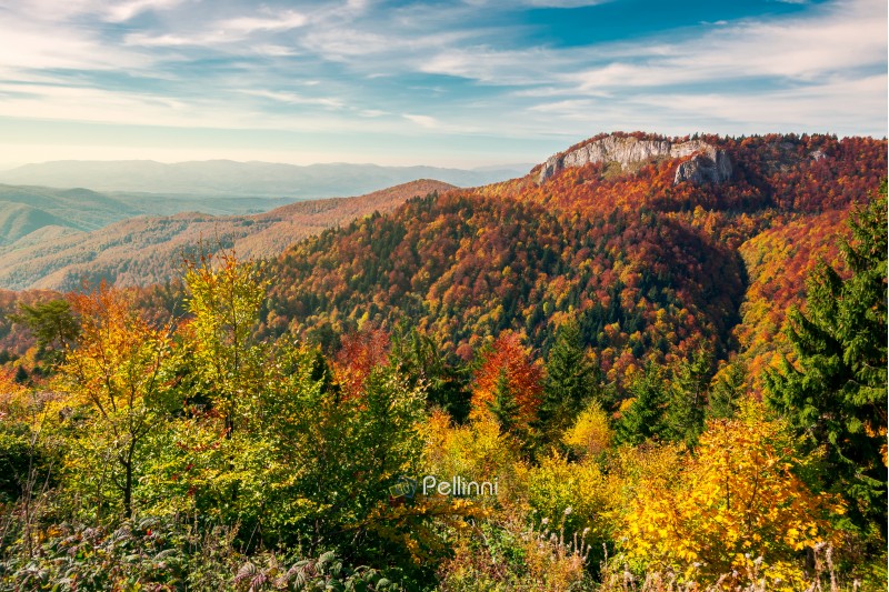 beautiful landscape in mountains of Romania. cliff above the forest in fall color. beautiful view in evening light with blue sky