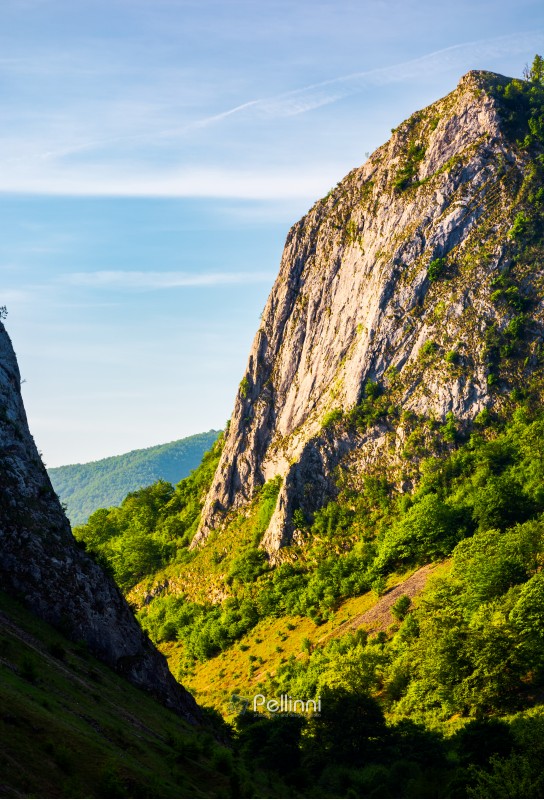 cliffs of Trascau mountains canyon. lovely scenery of Carpathian landscape in springtime. beautiful travel destination. location Cheile Valisoarei, Romania