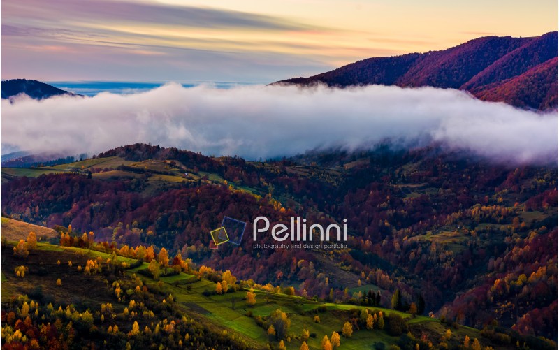 cloud on the hill with colorful foliage at dawn. sublime mountain landscape background