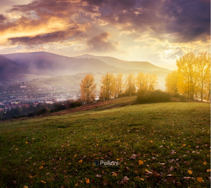 cloudy sunrise in mountains. gorgeous countryside in autumn. trees with yellow foliage on hill and fog down in the valley