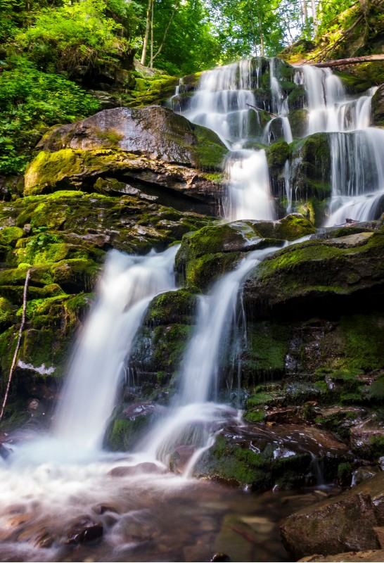 cold waters of mighty waterfall Shypot. beautiful nature summer scenery among forest. one of the most visited locations in Carpathian mountains of Ukraine