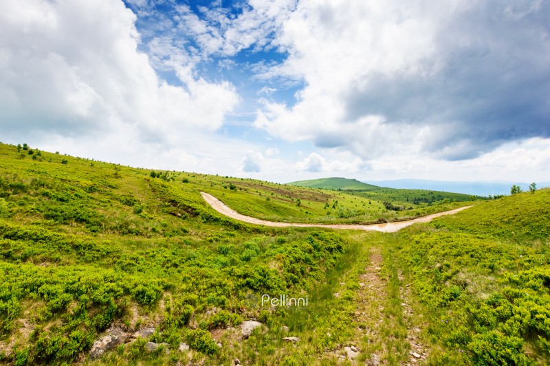 country dirt road through carpathian mountains of ukraine on a summer day. scenic view of green rolling hills under blue sky with clouds. beautiful alpine meadow and distant ridge for background