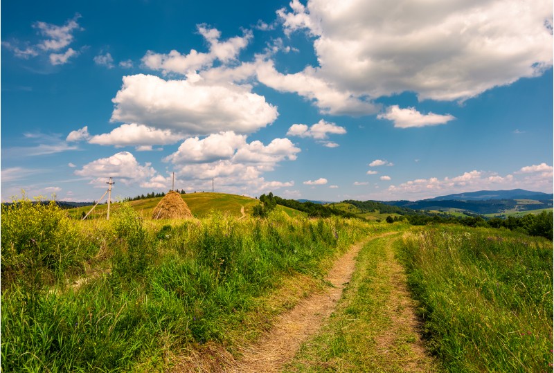 country road along the hillside. lovely countryside rural scenery in summer. beautiful blue summer sky with fluffy clouds