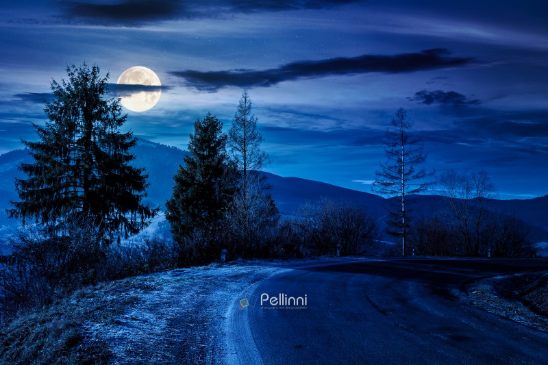 country road in mountains at night. beautiful countryside landscape in late autumn. fir trees on the roadside in full moon light. scenic view of blue sky with clouds above the distant ridge in snow