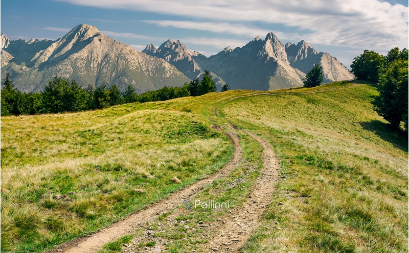 composite landscape with Hight Tatra mountains. country road in to the distant forest along the grassy meadow. lovely summer scenery