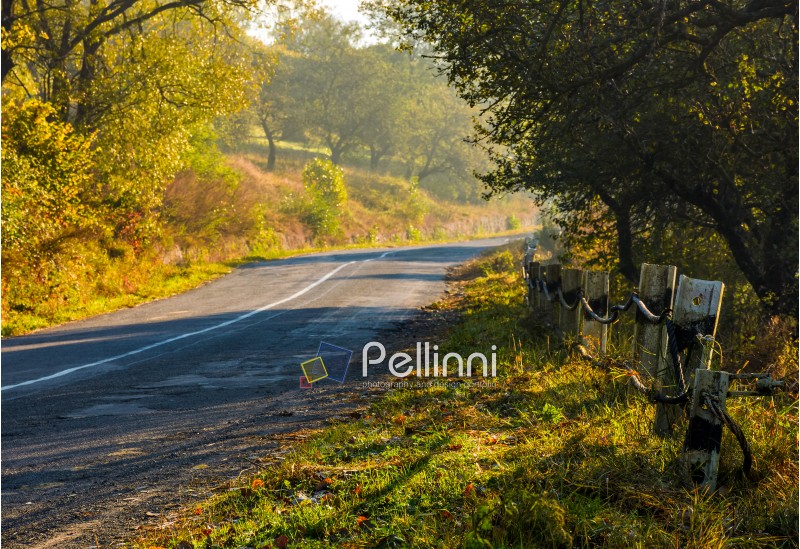 country road with metal fence through forest in morning haze. lovely early autumn atmosphere