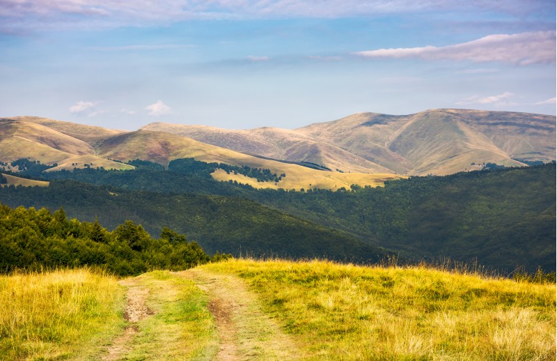 country road through grassy hillside. lovely summer scenery of Carpathian mountains. Svydovets mountain ridge in the distance