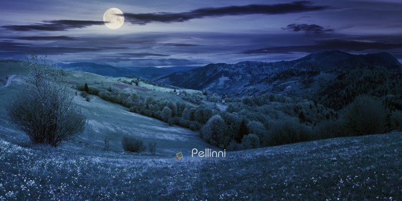 panorama of countryside in mountain at night in full moon light. beautiful landscape in springtime