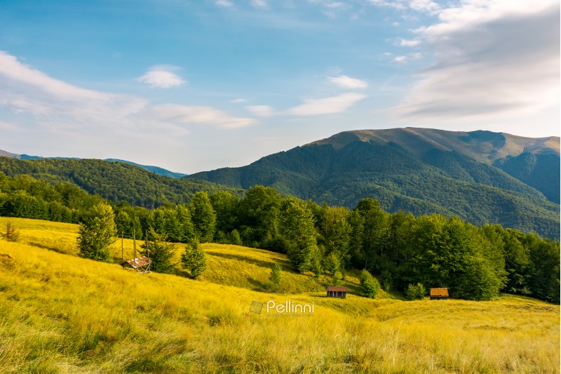 countryside in mountains. beautiful landscape with grassy alpine hills. abandoned woodshed and hay barrack on the meadow. mountain ridge in the distance