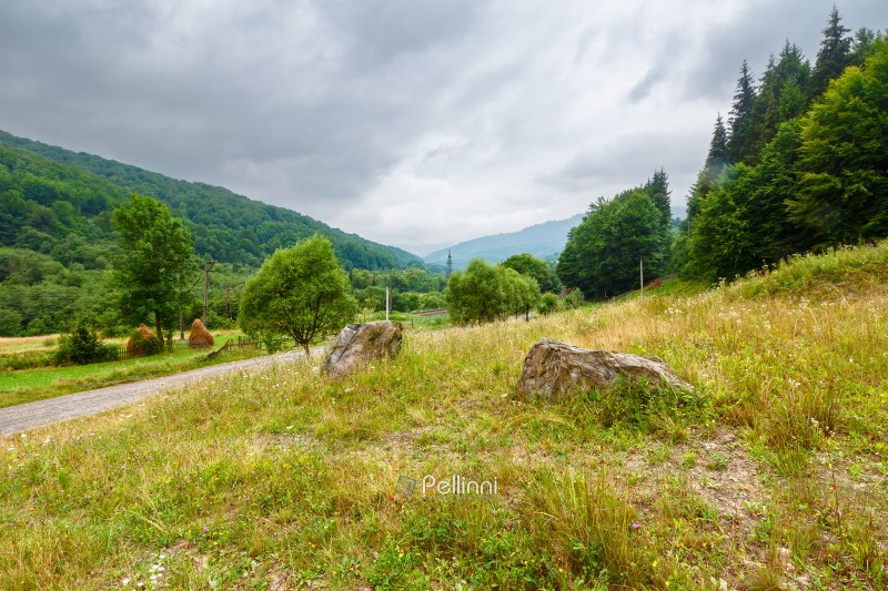 countryside landscape with overcast sky in summer. forest on the grassy hill. cloudy weather forecast. remote rural scenery in carpathian mountains
