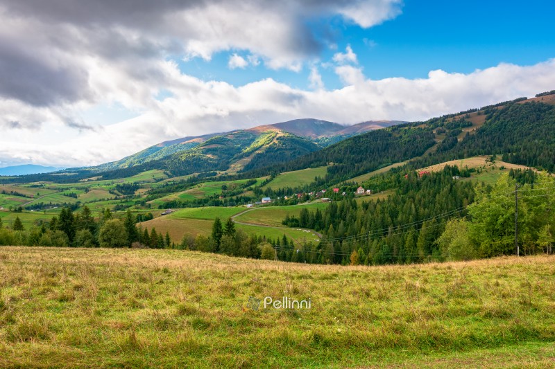 countryside meadow in mountain landscape of ukraine. lush grass fields at the foot of borzhava ridge. beautiful view of transcarpathian scenery in early autumn