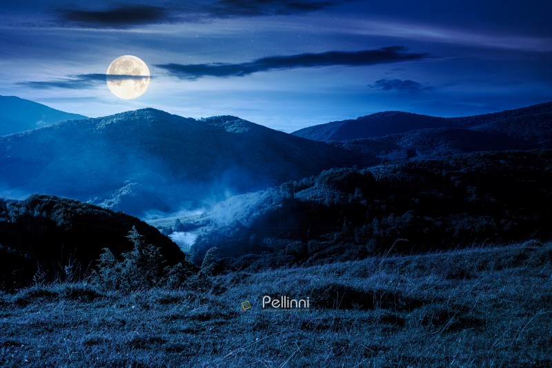 countryside mountain landscape in autumn at night. rural field on hills. beautiful scenery with grassy meadows and forested slopes in highland under blue sky. scenic view in full moon light