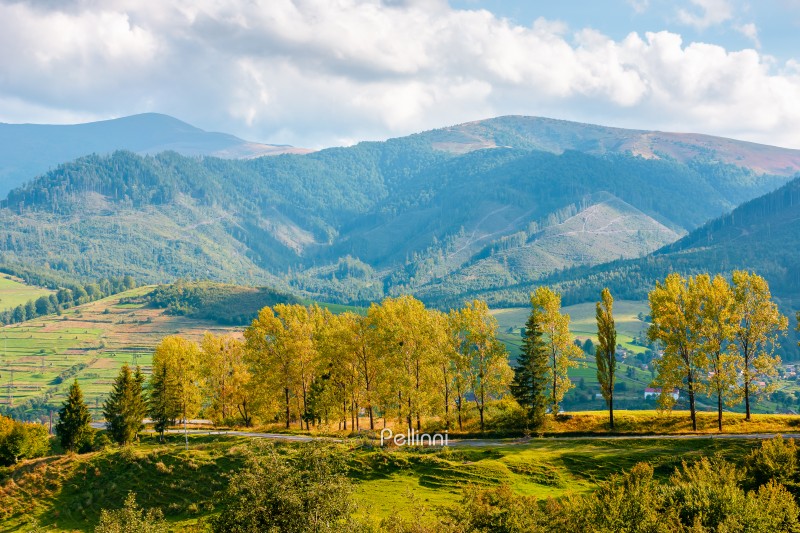 countryside mountain landscape in autumn. scenic rural area of ukraine in fall season. mountain path to volovets town in the valley. sunny afternoon