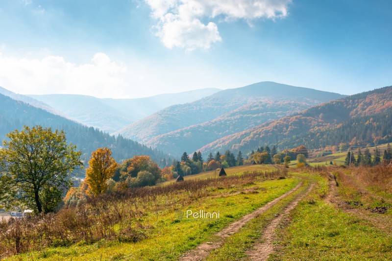 countryside mountain landscape in autumn. weathered grassy field on a hill near forest. rural outdoor adventure background. alpine highland of ukraine on a sunny afternoon
