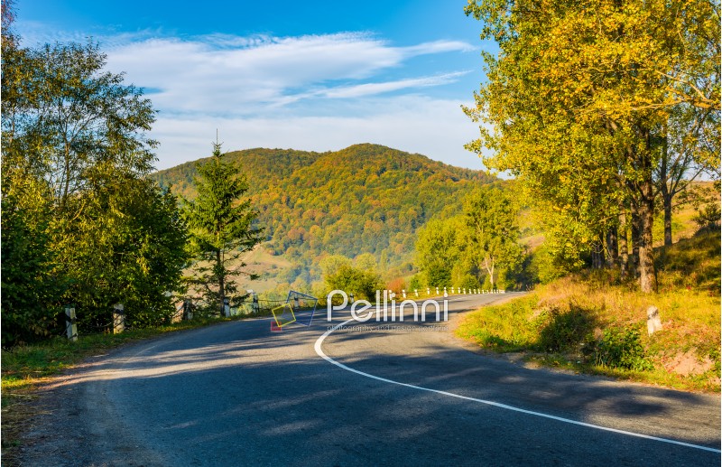 countryside road through the forest in mountains. lovely Carpathian countryside landscape in early autumn morning