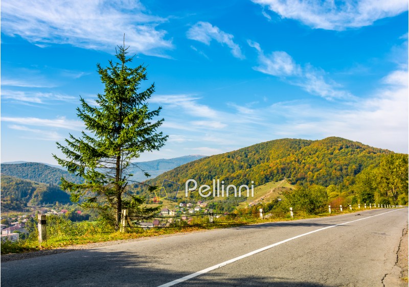 countryside road through the forest in mountains. lovely Carpathian countryside landscape in early autumn morning