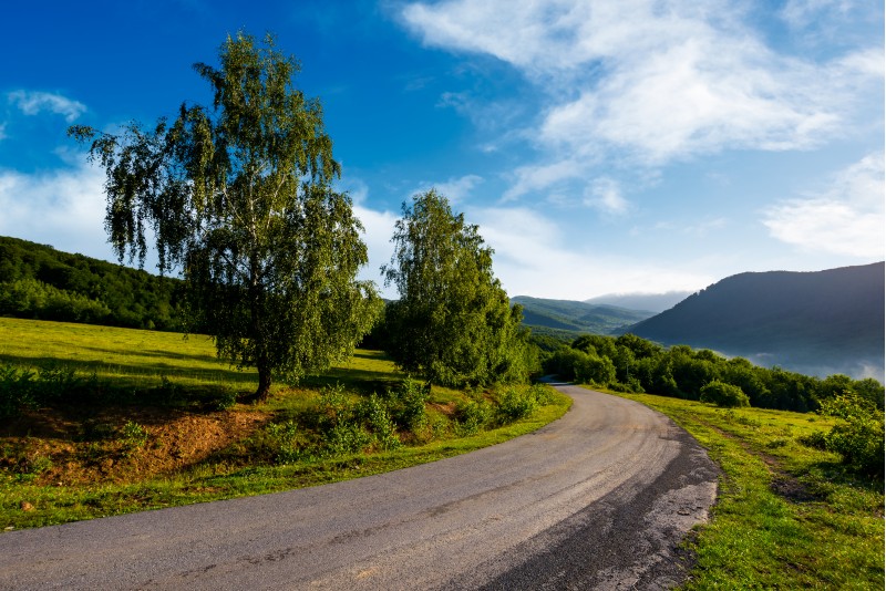 countryside road in mountains. beautiful landscape on fresh summer morning