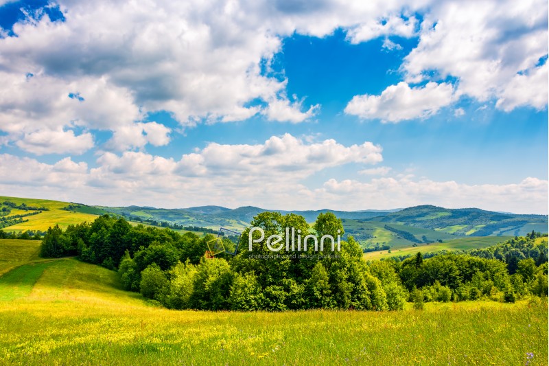 countryside summer landscape in mountains on fine weather day. grassy rural field near the forest on a hillside under blue sky with some clouds