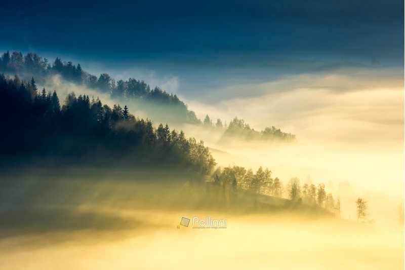 deep fog above the valley at sunrise. beautiful autumn background in mountains. lovely nature abstract scenery