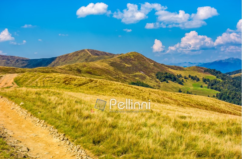 dirt road through alpine hills of mountain ridge. beautiful early autumn landscape in fine weather under blue sky with clouds