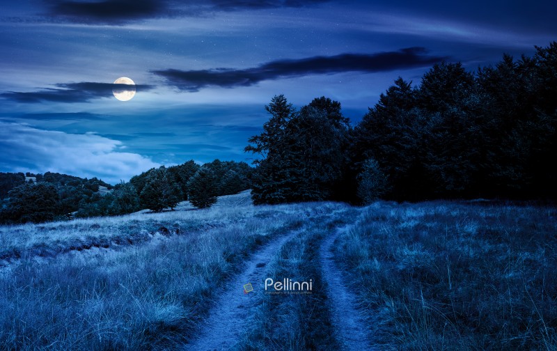 dirt road through grassy hills at night. full moon over mountain landscape with beech forest along the path. mysterious countryside. late summer scenery with primeval woods on hillside