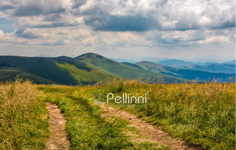 dirt road through grassy meadow on the ridge. beautiful summer landscape in Carpathian mountains under cloudy sky