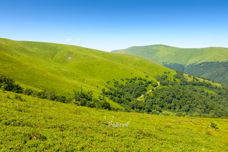 discover the beauty of mountain landscape in summer. beautiful scenery of borzhava ridge with great peak. highland of ukraine on a sunny day.