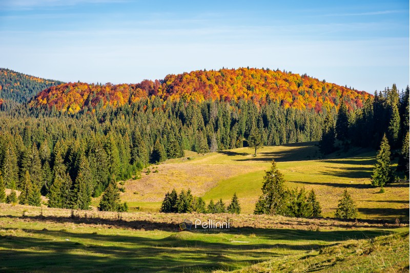 beautiful autumn landscape. distant mountain in fall colors. beautiful sunny weather